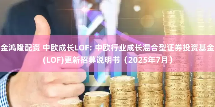 金鸿隆配资 中欧成长LOF: 中欧行业成长混合型证券投资基金(LOF)更新招募说明书（2025年7月）